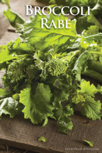 Orecchiette with broccoli rabe